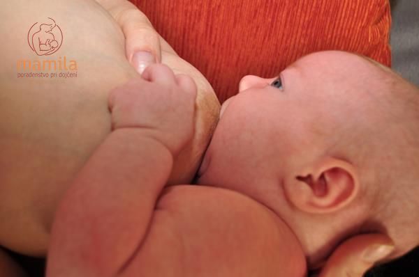 Dojčenie, kojenie, prsia, materské mlieko, ako sa bábätko prisáva– MAMILA, o. z.