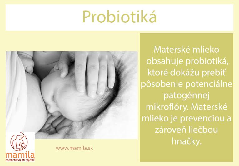 Mamila, fakta o dojčení, materské mlieko a probiotika